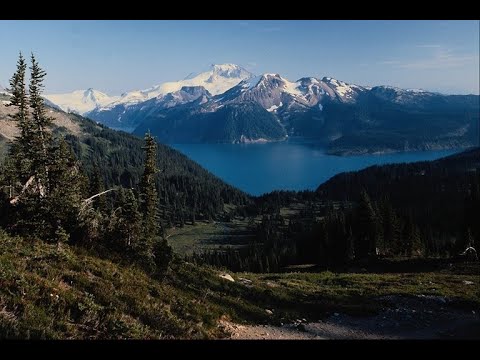Видео: Любовная зависимость. Как избавиться от любовной зависимости