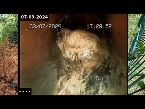 Видео: Kempinger 441.Они были удивлены, когда я проверил канализацию в доме во время ремонта ванной комнаты