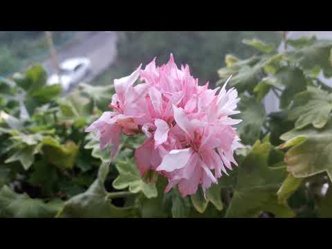 Видео: Вот и лето прошло, будто и не бывало... Итоги нынешнего сезона🤔