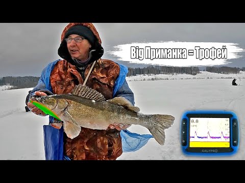 Видео: БОЛЬШАЯ ПРИМАНКА - ТРОФЕЙНЫЙ СУДАК🏆. Ловля Судака с эхолотом Calypso. Зимняя рыбалка 2024.