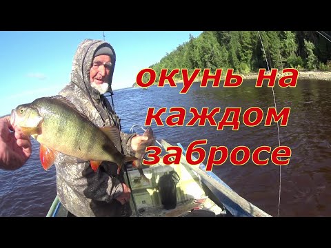 Видео: Окунь на каждом забросе.  На рыбалку с дедом.