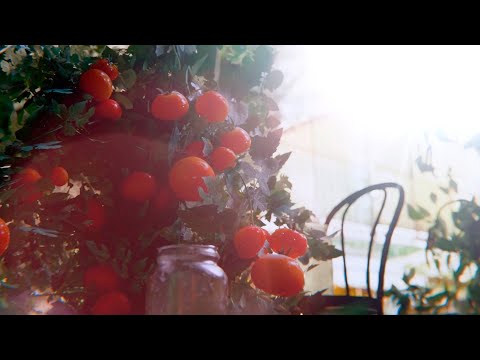 Видео: Прокачиваю Петуха 🐓 Лучшая Игра Года ARC Raiders