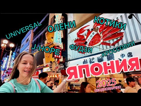 Видео: Влог из Японии. Любви не произошло... но история интересная.