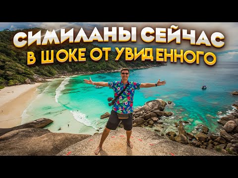 Видео: Симиланы сейчас.  В шоке от увиденного! Экскурсии Пхукета, Таиланд