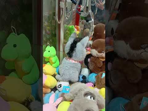 Видео: Ослик  милашка😍