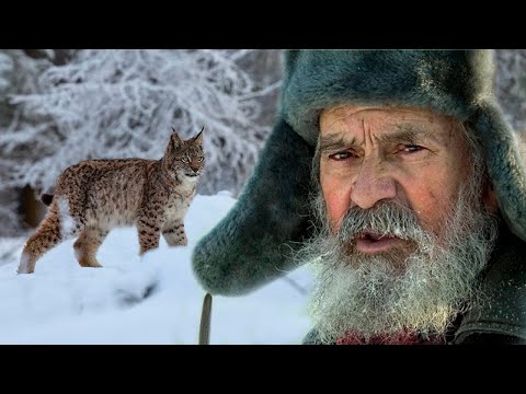 Видео: 💥/В избушку к охотнику пришел непрошеный гость/ Ловкий и беспощадный призрак ночи/