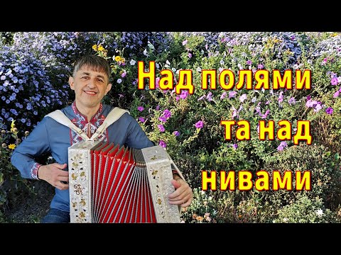 Видео: Над полями та над нивами