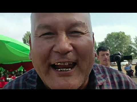 Видео: АЙТИШУВ. Кобил бохши    Содик бохши. Ахмадбой туйида. 👍🌹😀