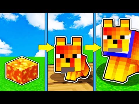 Видео: КАК МЕНЯЛСЯ ЛАВОВЫЙ СОБАКА МОБ И ЕГО ЖИЗНЕННЫЙ ЦИКЛ В МАЙНКРАФТ ! ЭВОЛЮЦИЯ ТРОЛЛИНГ MINECRAFT