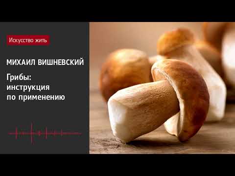 Видео: Михаил Вишневский. Грибы: инструкция по применению