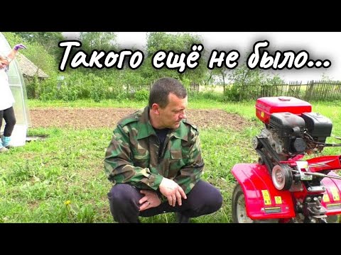 Видео: В Деревне Беларуси Такого ещё не было...
