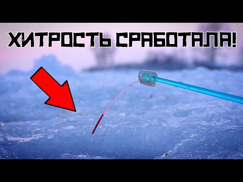 Видео: СДЕЛАЛ ЭТО и НАЧАЛОСЬ! Простая ХИТРОСТЬ СПАСЛА рыбалку в январе!