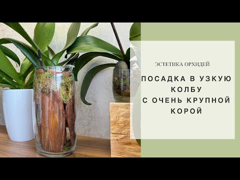 Видео: Это очень Красиво и Быстро✨