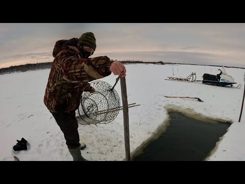 Видео: Рыбалка на фитили на Крайнем Севере. Два дня проверки снастей. Деревенская жизнь
