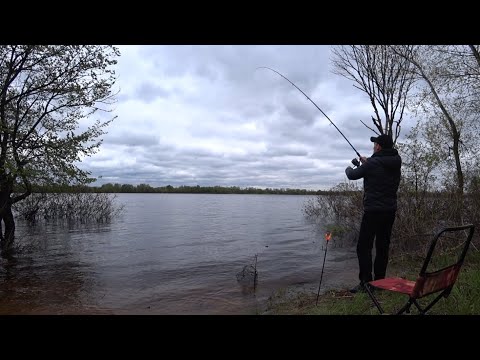 Видео: Фідерна рибалка в Києві на Газопроводі .Приємні Бонусні 🐠🐠🐠Велика Вода!!Рибалка Київ 2024.