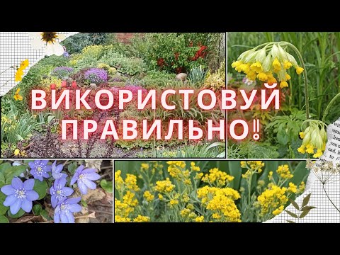 Видео: ВЕСНЯНІ ДОБРИВА. Аміачна селітра, карбамід, сульфат амонію. Чим, коли, як доцільно підживлювати