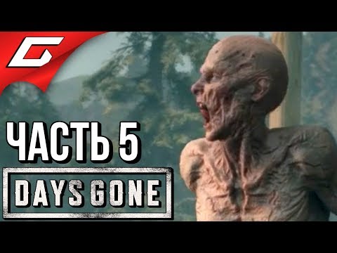 Видео: DAYS GONE (Жизнь После) ➤ Прохождение #5 ➤ ГНЁЗДА ФРИКОВ