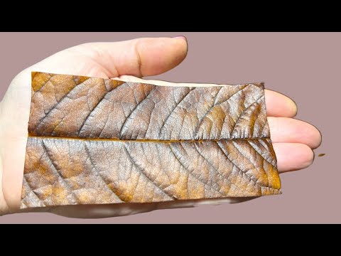 Видео: Эту тайну мне рассказала...ВОТ ПОЧЕМУ не выбрасываю ОСЕННИЕ ЛИСТЬЯ/  Смотрите что можно сделать.