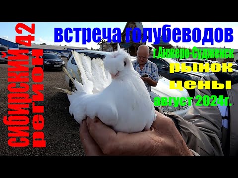 Видео: ГОЛУБИ на РЫНКЕ - август 2024 г.Анжеро-Судженск (часть-1)