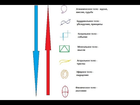 Видео: Энергетические потоки в теле человека. Светлана Сарасвати