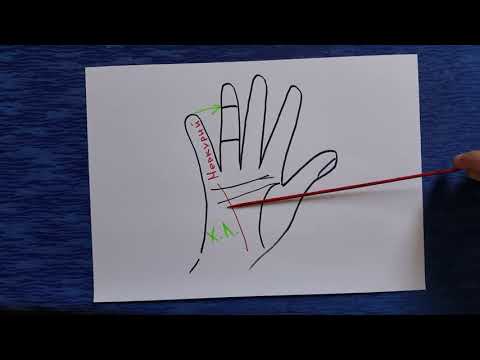 Видео: Линия Меркурия. Хиромантия