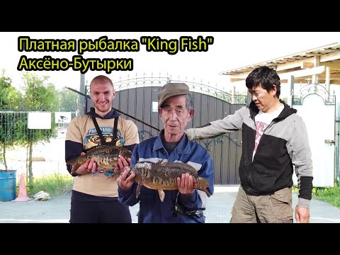 Видео: Платная рыбалка "King Fish", в Аксёно-Бутырки.