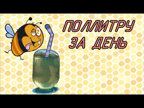 Видео: Нужна ли пчелам вода? Как правильно напоить пчел? Поилки для ульев.