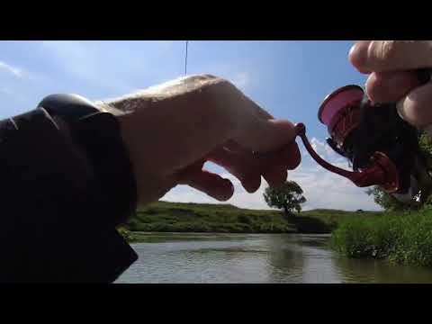 Видео: отчет с рыбалки и ВАЖНОЕ ОБЪЯВЛЕНИЕ