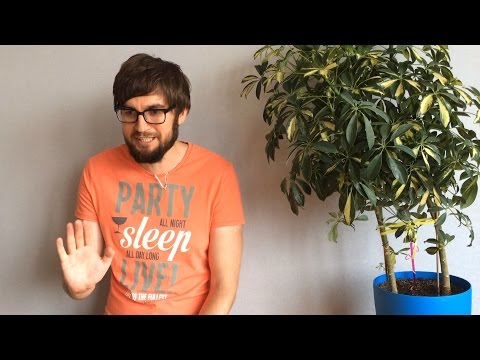 Видео: Я же ей предложил встречаться. Почему отношения продлились всего 4 дня?