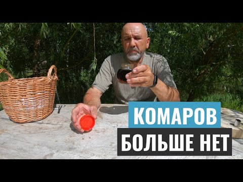 Видео: Ни один комар на вас больше не сядет. Как гарантированно избавиться от комаров