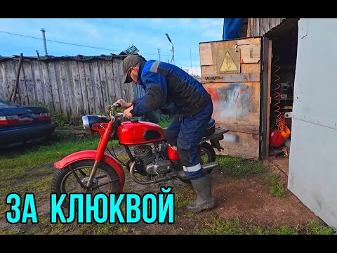 Видео: За клюквой на МОПЕДЕ по ЖД путям.