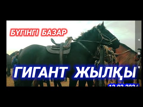 Видео: БҮГІНГІ САРЫАҒАШ МАЛ БАЗАРЫ | ЖЫЛҚЫ БАҒАСЫ | МАЛ БАЗАР 2024