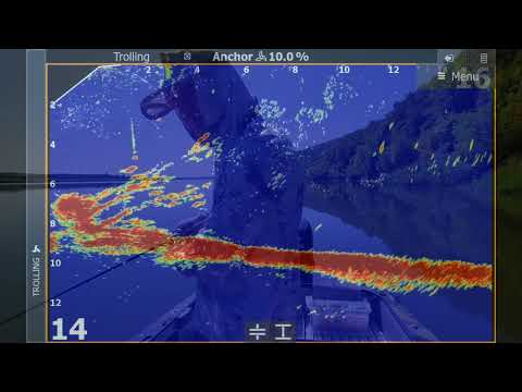 Видео: Это каряга рай для крупного судака!!! и он об этом знает!