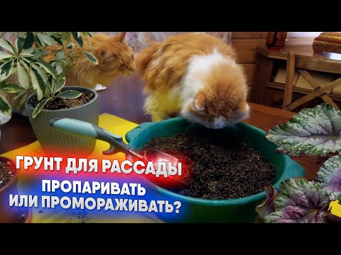 Видео: Грунт для рассады - пропаривать или промораживать