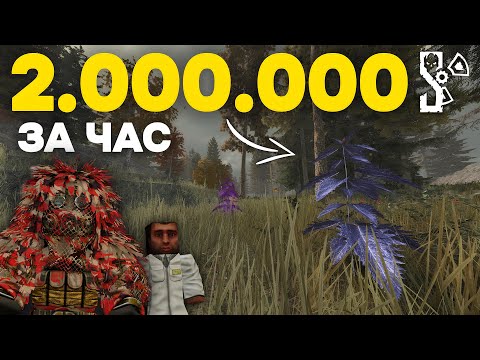 Видео: ЛЁГКИЙ СПОСОБ ФАРМА ДЕНЕГ В СТАЛКРАФТ! СЕВЕР | STALCRAFT X | Дневник ЦА №38