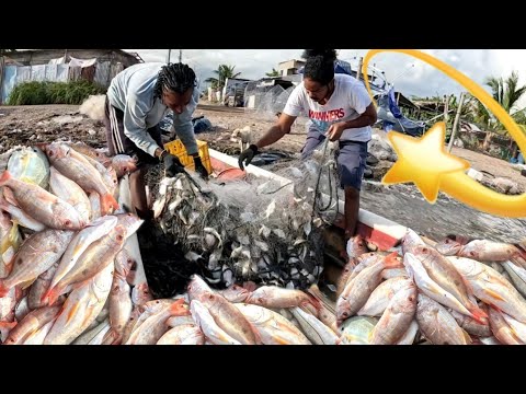 Видео: БОЛЬШОЙ УЛОВ РЫБЫ (батарея GoPro села) СЕЗОН НАЧАЛСЯ ОТЛИЧНО@cameronfamilytv !!!