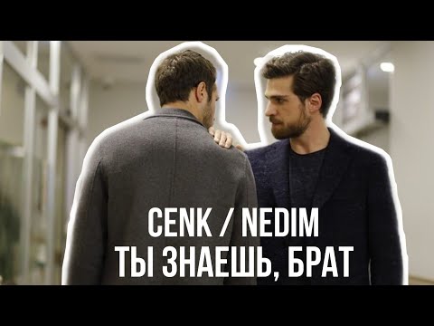 Видео: Cenk & Cemre & Nedim / Дженк Джемре Недим / Ты знаешь, брат