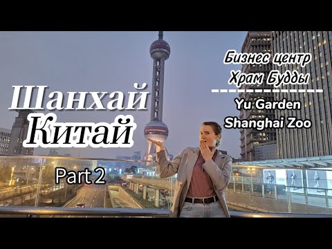 Видео: Шанхай. Самостоятельный маршрут. Достопримечательности: сад Юйюань, Пудун, Shanghai Tower, Зоопарк