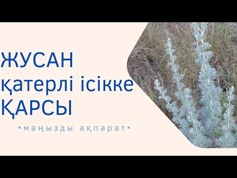 Видео: ЖУСАН ҚАТЕРЛІ ІСІККЕ ҚАРСЫ ДӘРІ