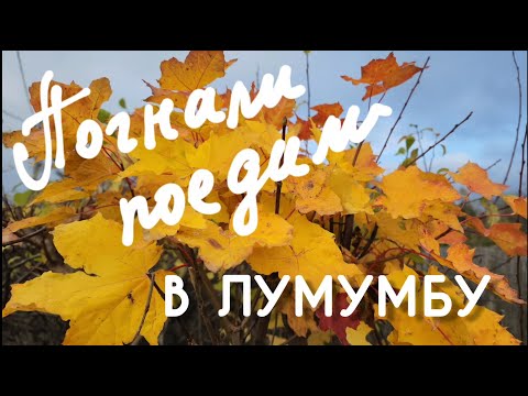 Видео: Как там в Лумумбарии ?))