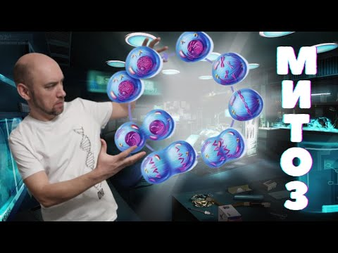 Видео: Что такое митоз? Душкин объяснит