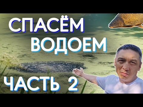 Видео: Спасем водоем часть 2. Продолжаем спасать заросший водоем бюджетными способами.