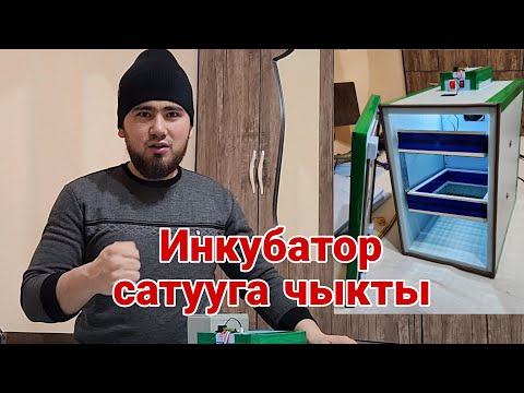 Видео: +996 995 25 25 95 Жаны инкубаторлор сатылып баштаты