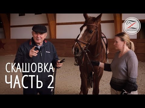 Видео: Скашовка в верховой езде