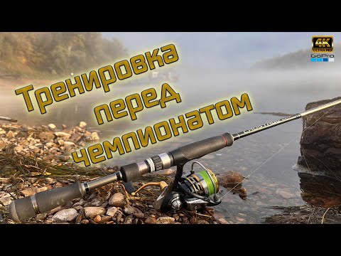Видео: Рыбалка на отводной на реке ❗Ловля окуня ❗Как ловить окуня осенью ❓