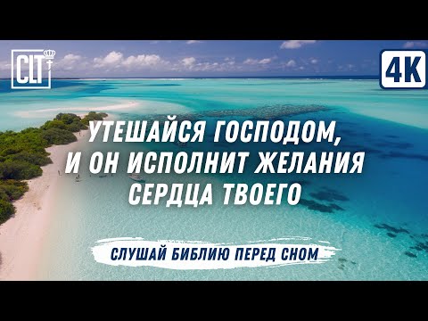 Видео: Я взыскал Бога, и Он услышал меня, и от всех опасностей избавил меня | Библия перед сном | Relaxing