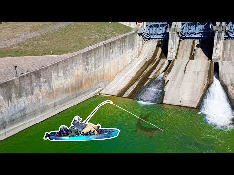 Видео: Я совершил ОШИБКУ на 500 долларов... А потом поймал ОЧЕНЬ ...