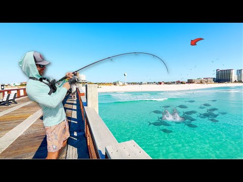 Видео: Мы шли по пирсу залива, пока не увидели ЭТО!