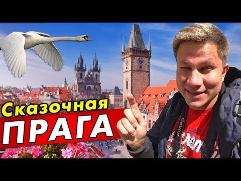 Видео: ПРАГА: что посмотреть в Чехии за 1 день? Достопримечательности и популярные места Праги. Тревел влог