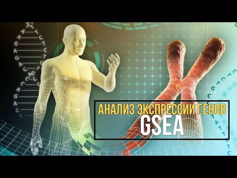 Видео: Анализ экспрессии генов и GSEA